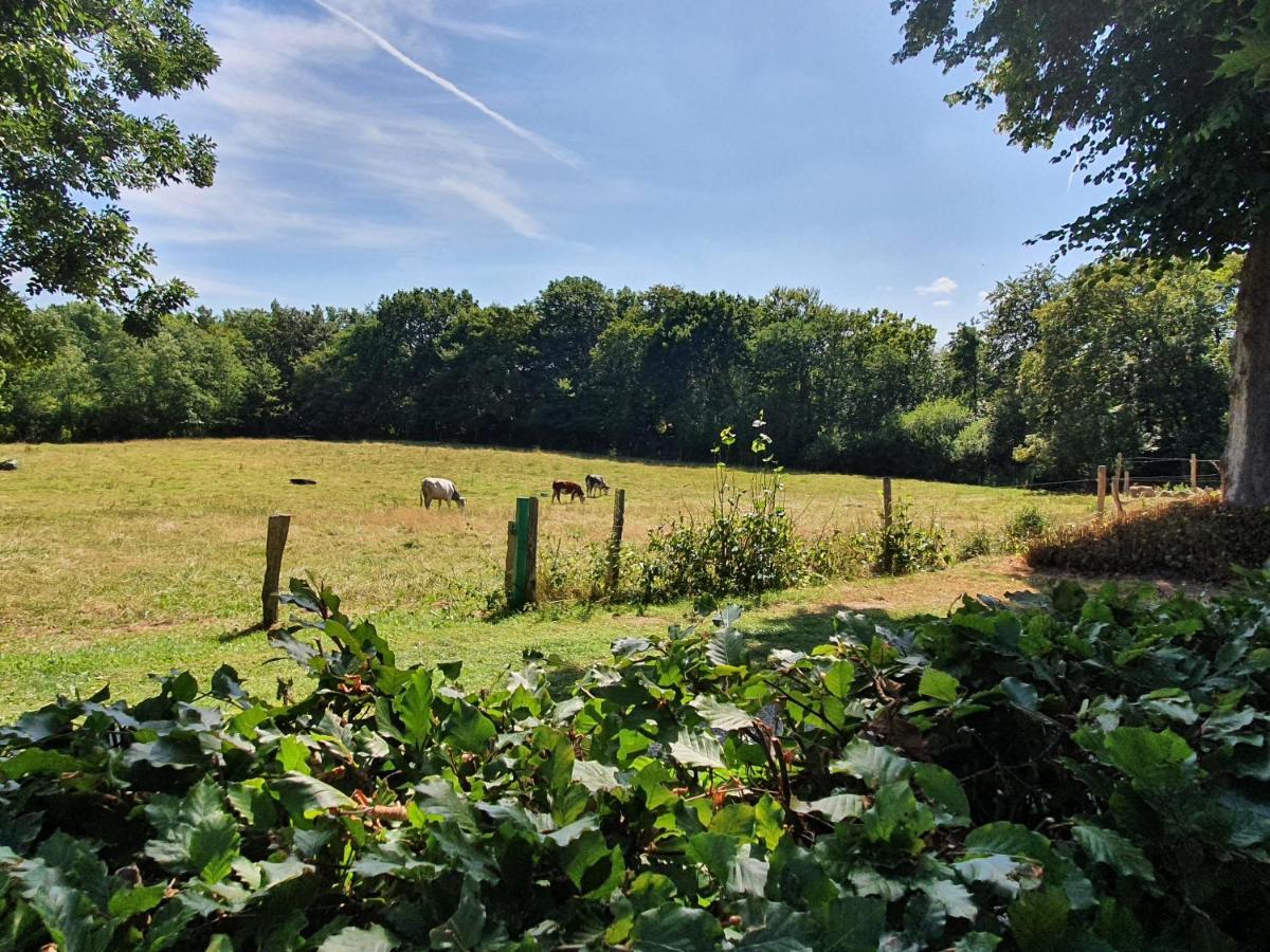 Slotsgaardens Hus Hébergement de vacances Jels